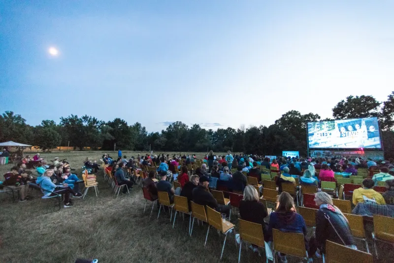 Beyond the Stream: How Arts Organizations Are Reaching Communities That the Digital Age Left Behind