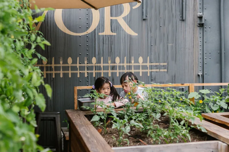 Soil, Seeds, and Sovereignty: How Community Gardens Are Cultivating Environmental Justice Advocates